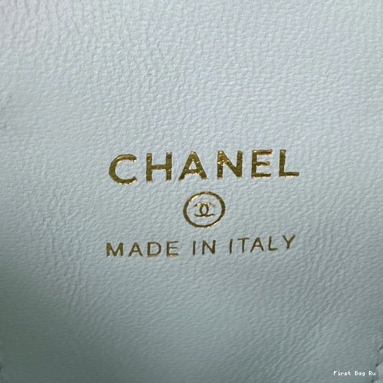 First Bag Ru SMALL CHANEL CHAIN VANITY WITH 0815